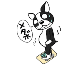 Funny Boston Terrier sticker #4610633