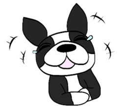 Funny Boston Terrier sticker #4610635