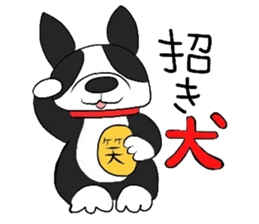 Funny Boston Terrier sticker #4610636