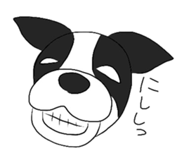 Funny Boston Terrier sticker #4610637