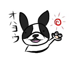 Funny Boston Terrier sticker #4610639