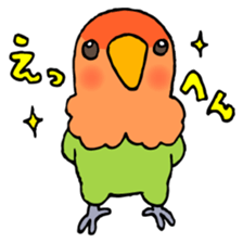 Kawainko (Rosy-faced lovebird) sticker #4612214