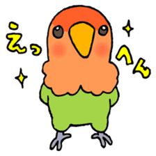 Kawainko (Rosy-faced lovebird) sticker #4612214