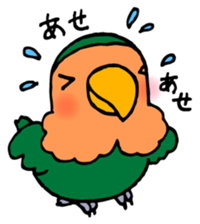 Kawainko (Rosy-faced lovebird) sticker #4612215