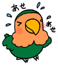 Kawainko (Rosy-faced lovebird) sticker #4612215