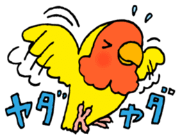 Kawainko (Rosy-faced lovebird) sticker #4612223