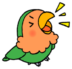 Kawainko (Rosy-faced lovebird) sticker #4612225