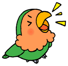 Kawainko (Rosy-faced lovebird) sticker #4612225