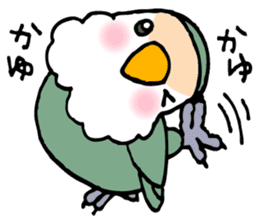 Kawainko (Rosy-faced lovebird) sticker #4612230