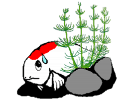 ran ran of a goldfish sticker #4613330