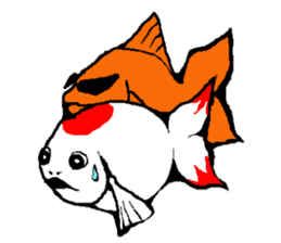 ran ran of a goldfish sticker #4613357