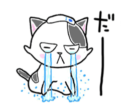 "SHIRO" the Onsen street cat sticker #4614791
