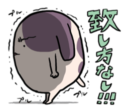 POKONOSUKE-DOG 4 sticker #4616169