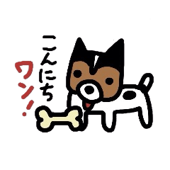 Elmo of naughty Jack Russell