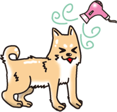 Hokucho & Ginchan sticker #4619227