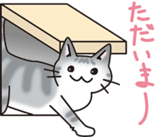 Hokucho & Ginchan sticker #4619239