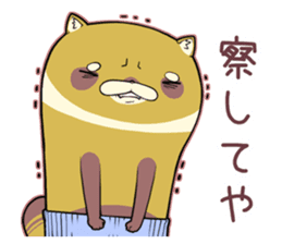 Kansai raccoon dog sticker #4621449