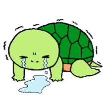 turtle's life 2 sticker #4624541