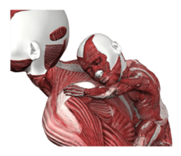 Real muscleman sticker #4625729