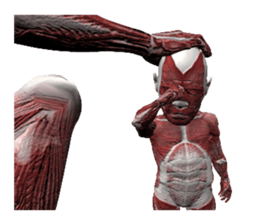 Real muscleman sticker #4625731