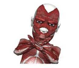 Real muscleman sticker #4625736