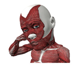 Real muscleman sticker #4625737