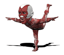 Real muscleman sticker #4625739