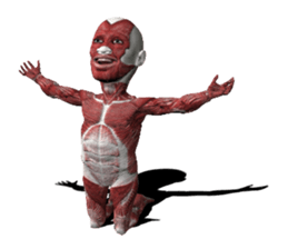 Real muscleman sticker #4625745