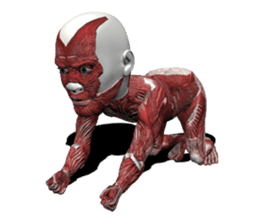 Real muscleman sticker #4625749