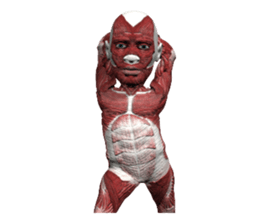 Real muscleman sticker #4625754