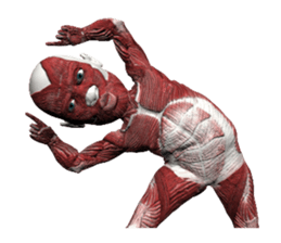 Real muscleman sticker #4625755