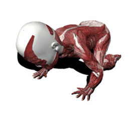 Real muscleman sticker #4625756