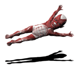 Real muscleman sticker #4625760