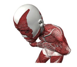 Real muscleman sticker #4625766