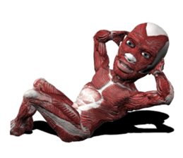 Real muscleman sticker #4625767