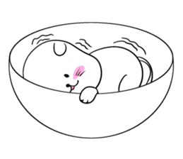 Simple and cute white cat sticker #4627194