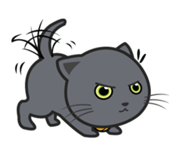 Kuma Korat cat sticker #4628060