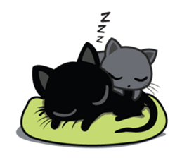 Kuma Korat cat sticker #4628070