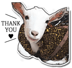 Shiropen the pygmy goat vol.2 sticker #4628128