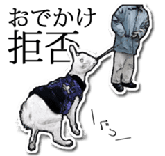 Shiropen the pygmy goat vol.2 sticker #4628133