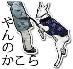 Shiropen the pygmy goat vol.2 sticker #4628134