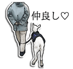 Shiropen the pygmy goat vol.2 sticker #4628136