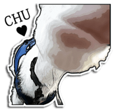 Shiropen the pygmy goat vol.2 sticker #4628137