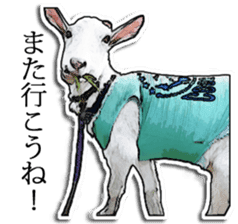 Shiropen the pygmy goat vol.2 sticker #4628138