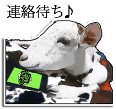 Shiropen the pygmy goat vol.2 sticker #4628140