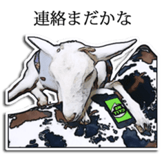 Shiropen the pygmy goat vol.2 sticker #4628141