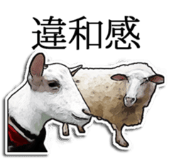Shiropen the pygmy goat vol.2 sticker #4628145