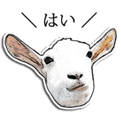 Shiropen the pygmy goat vol.2 sticker #4628146