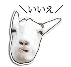 Shiropen the pygmy goat vol.2 sticker #4628147