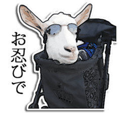 Shiropen the pygmy goat vol.2 sticker #4628152